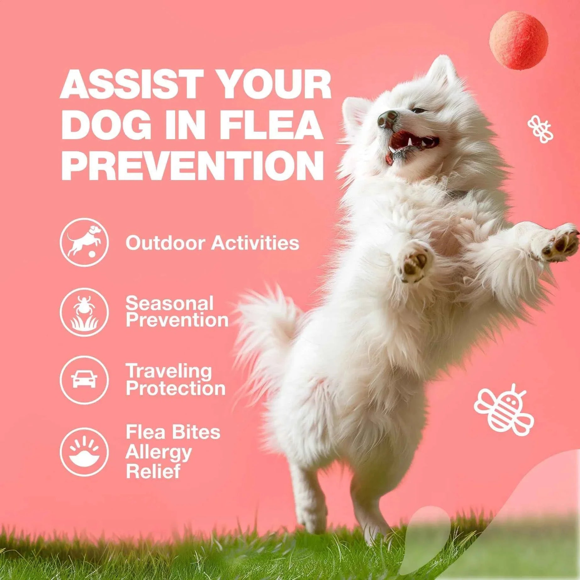 Dog Flea and Tick Chews - Chewia Vet Formulated Soft Chews 180 Count