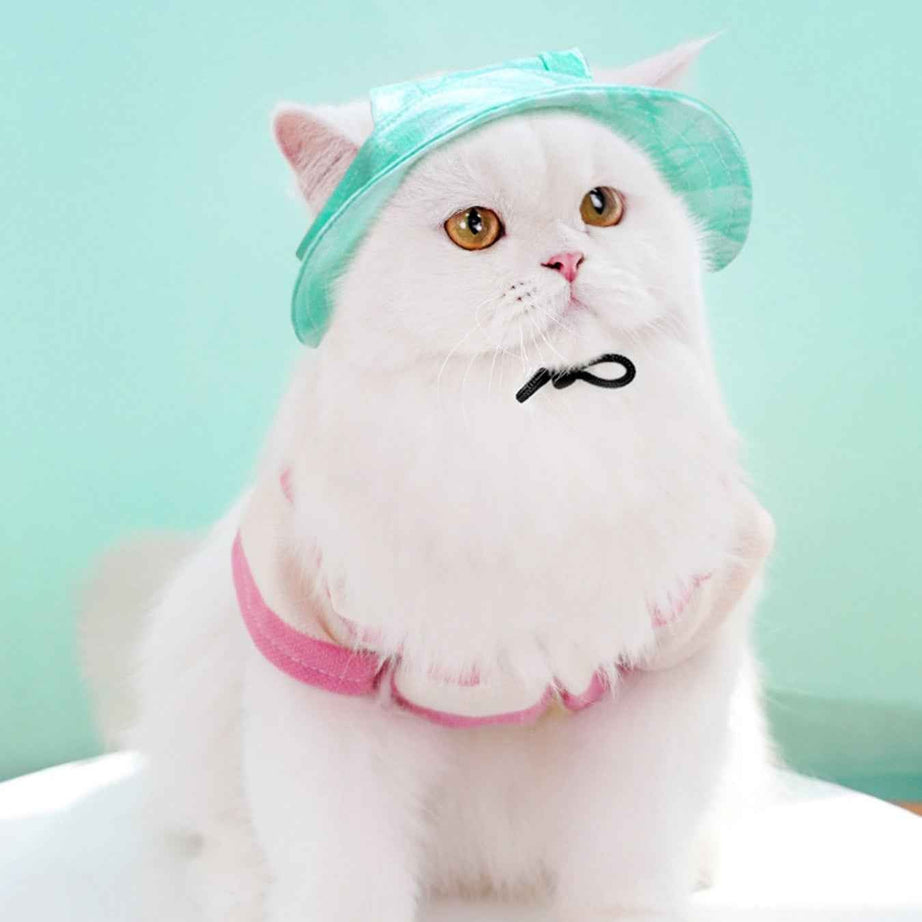 Adjustable Pet Visor Hat - Sun-Safe Shade