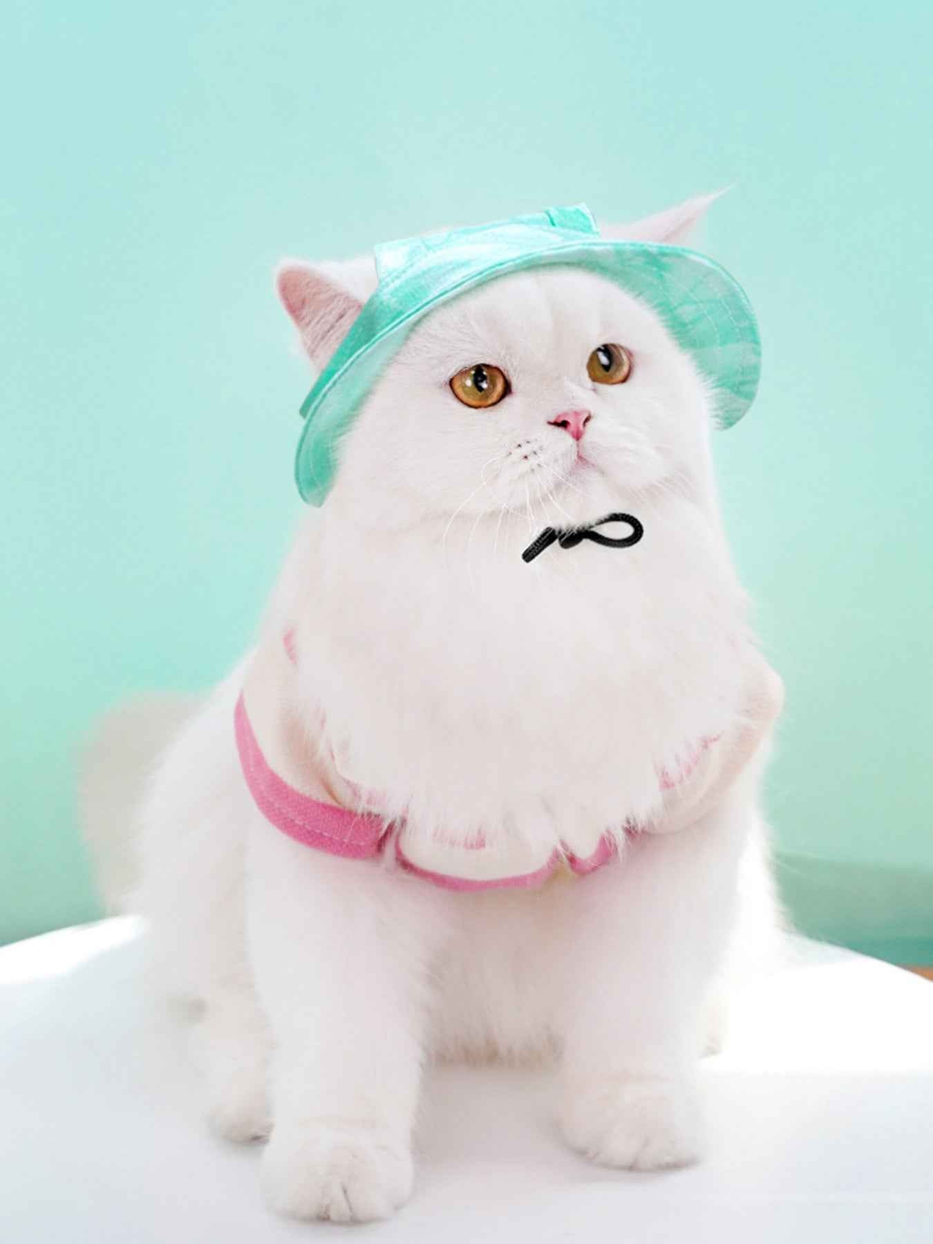 Adjustable Pet Visor Hat - Sun-Safe Shade