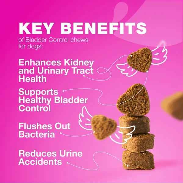 Dog Cranberry Supplement Chews - UTI Bladder Kidney Support