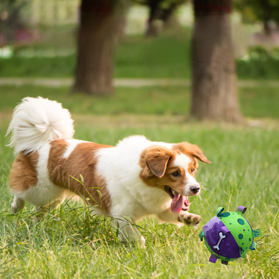 Dog Soccer Ball - Interactive Tug Toy with Straps
