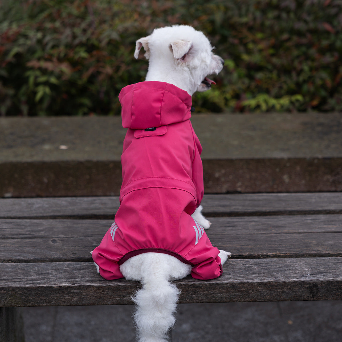 Adorable Pet Raincoat - Four-legged Waterproof Poncho