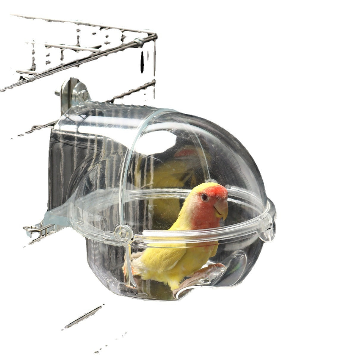 Bird Bath Tub Transparent - Plug-in Parrot Bathing Bowl Cage Accessory