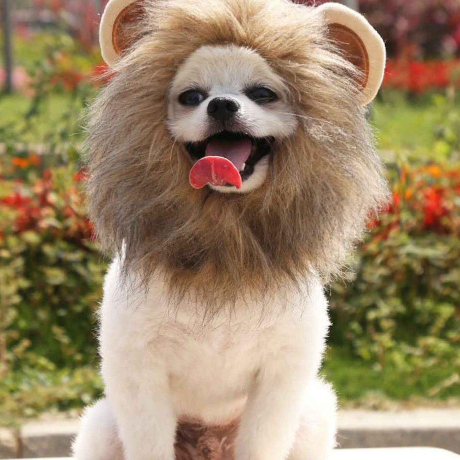 Pet Lion Mane Hat - Funny Costume Headwear for Cats and Dogs