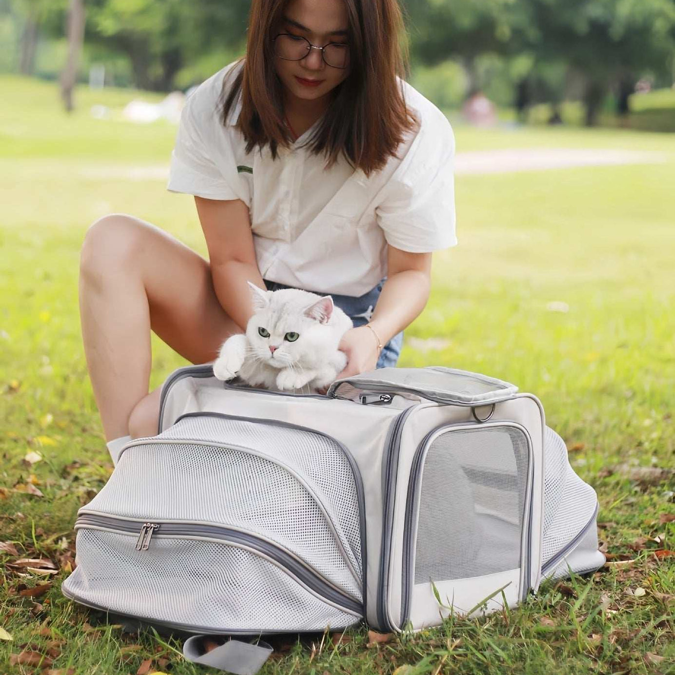 Portable Pet Carrier for Cats and Small Dogs - Breathable Travel Backpack