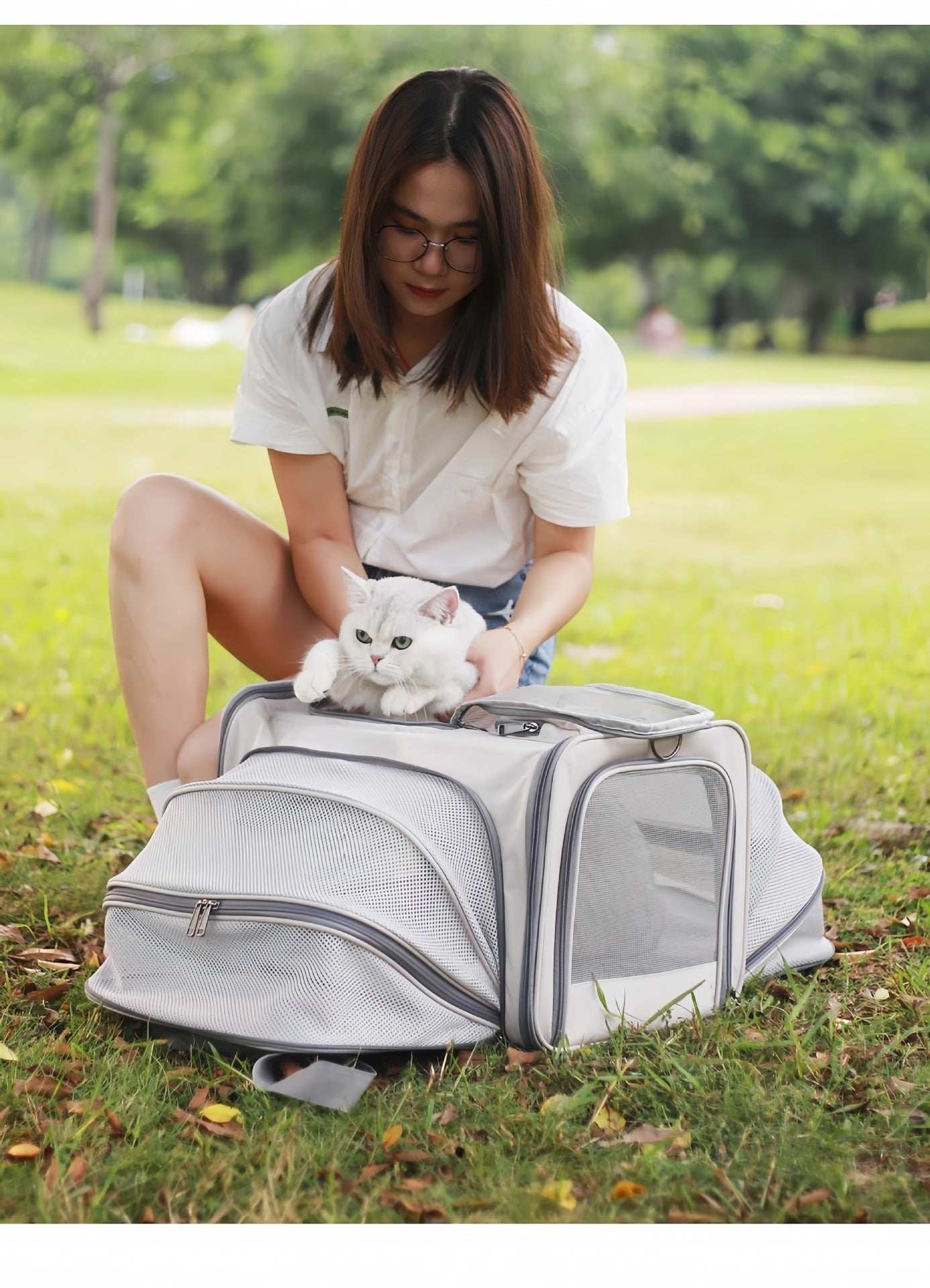 Portable Pet Carrier for Cats and Small Dogs - Breathable Travel Backpack