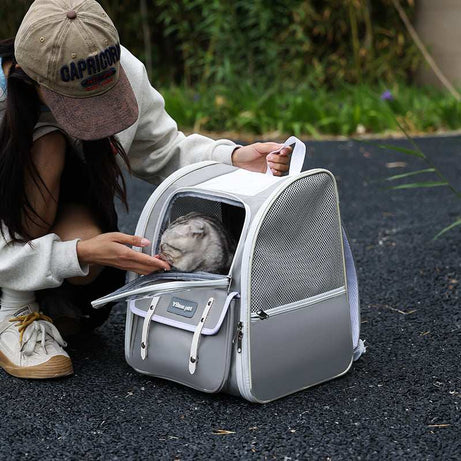 Breathable Four Seasons Universal Portable Travel Pet Carrier Bag