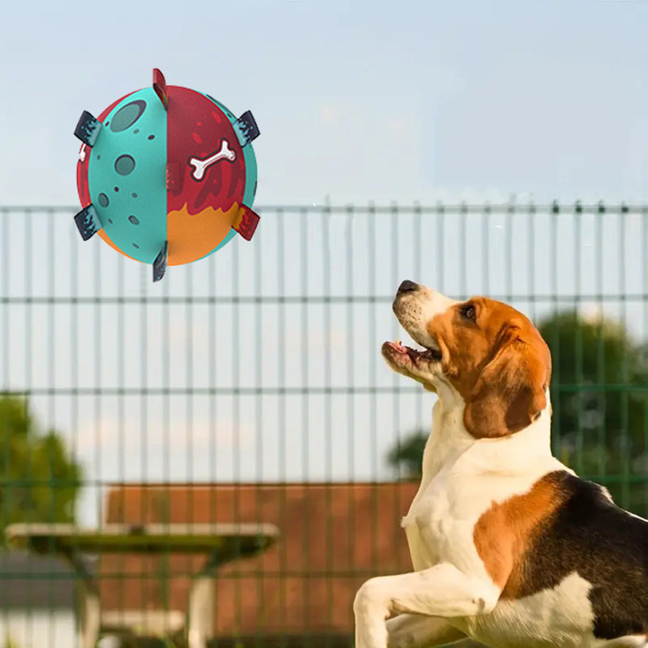 Dog Soccer Ball - Interactive Tug Toy with Straps