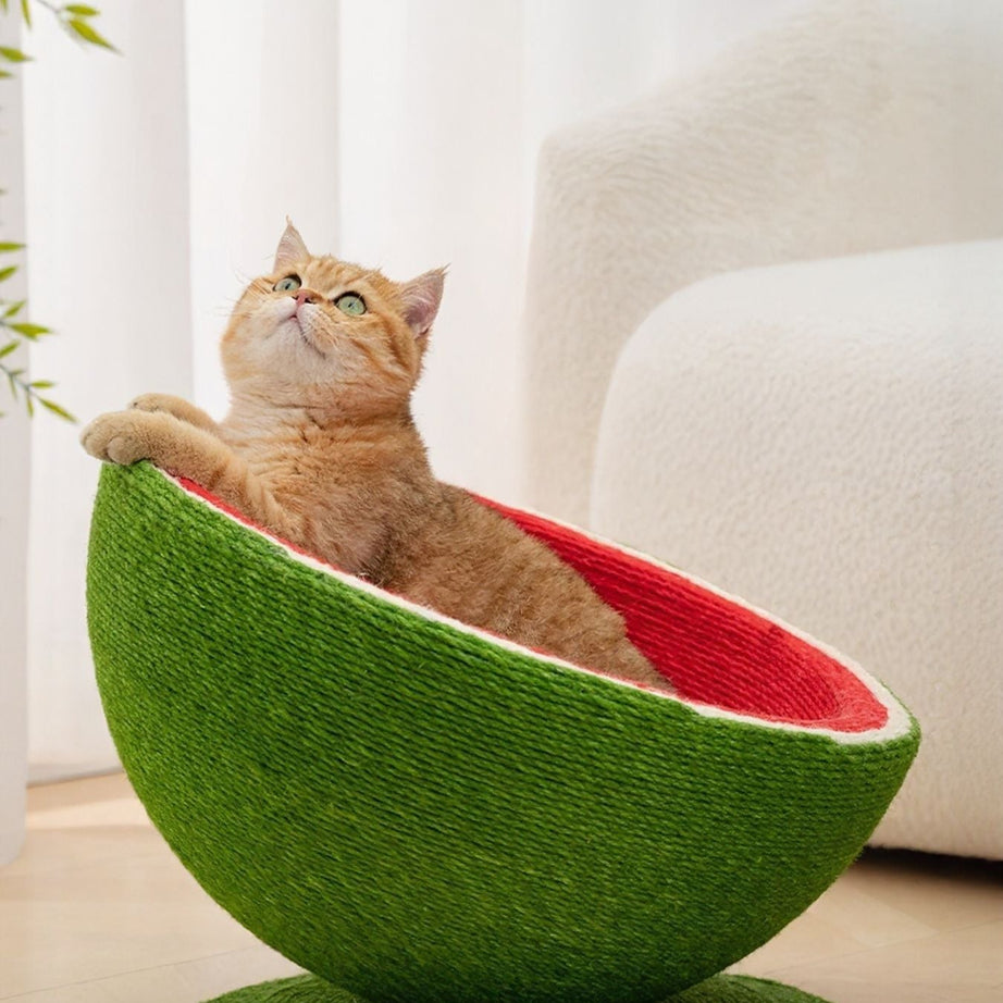 Cat Scratching Post Nest - Purr-fect Watermelon Shaped
