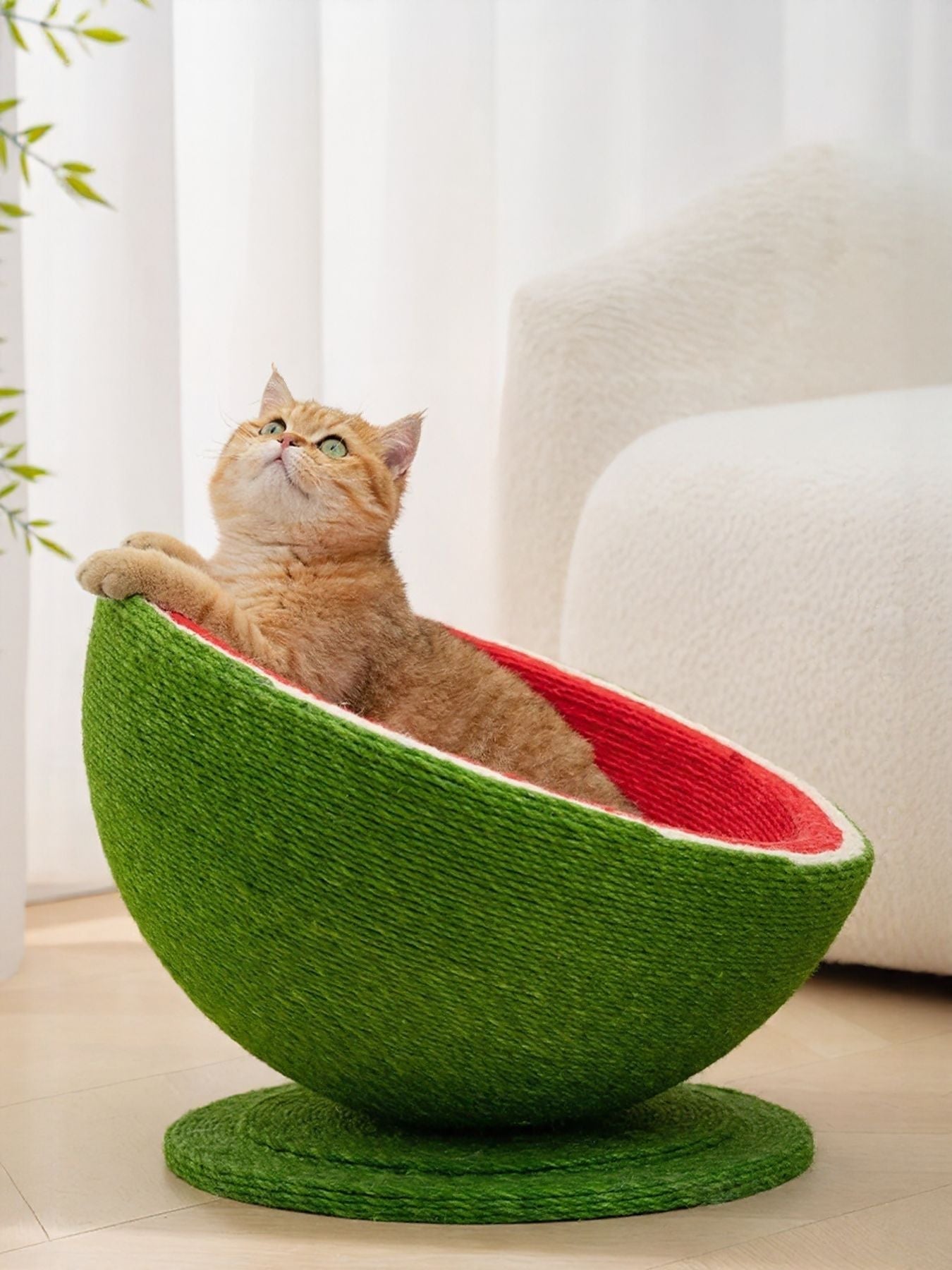 Cat Scratching Post Nest - Purr-fect Watermelon Shaped
