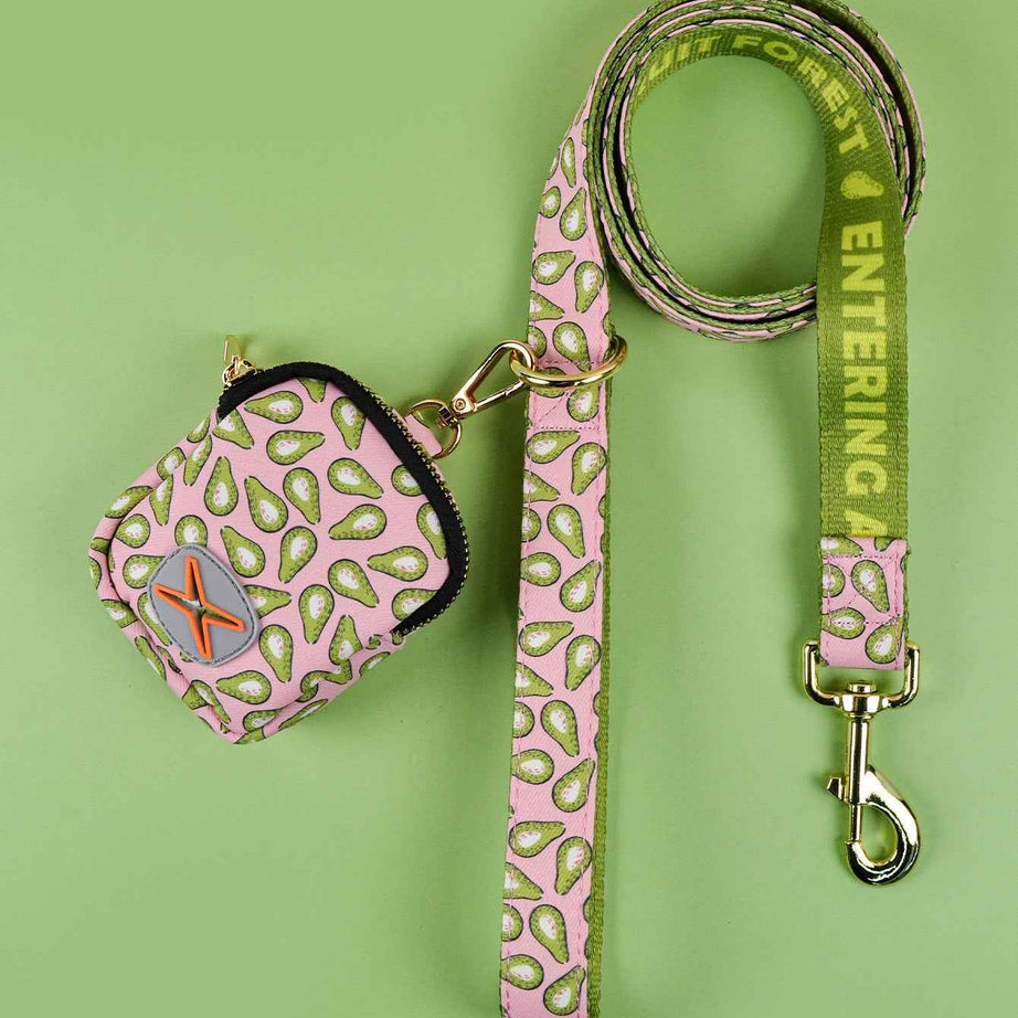 Dog Leash with Poop Bag Holder - Matching Set