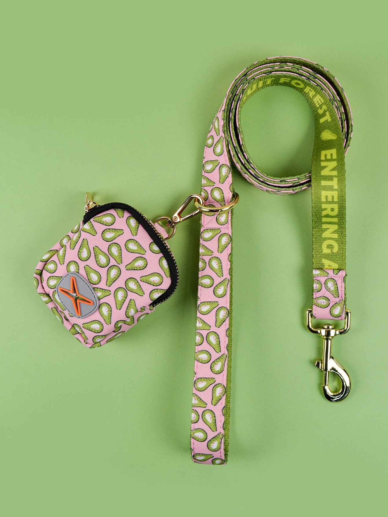 Dog Leash with Poop Bag Holder - Matching Set