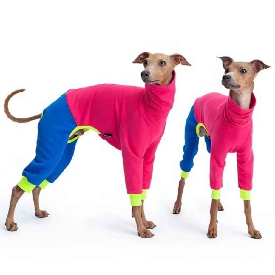 Dog Color Block Jumpsuit - Turtleneck Four-Leg Onesie Extended Sizes