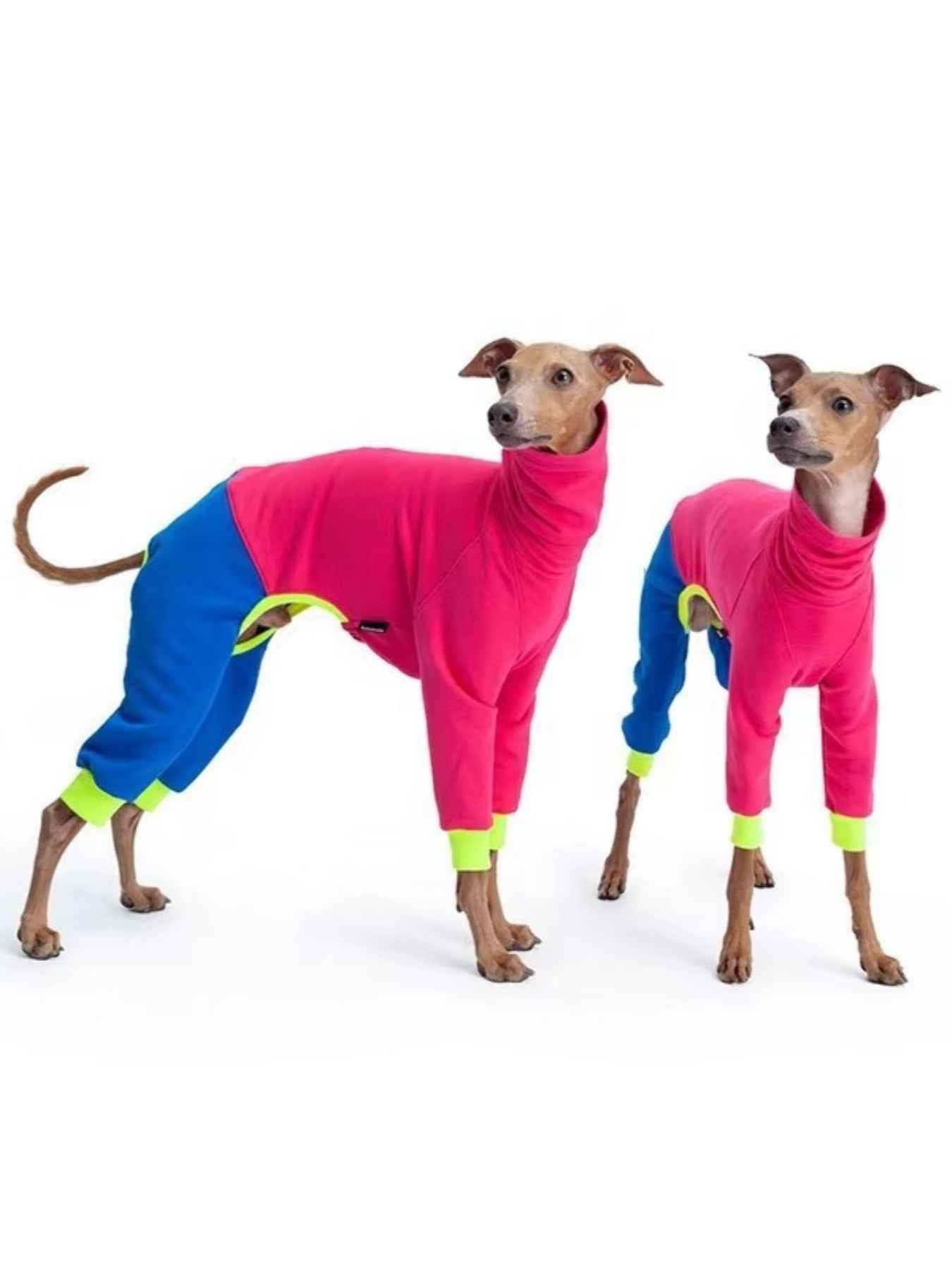 Dog Color Block Jumpsuit - Turtleneck Four-Leg Onesie Extended Sizes