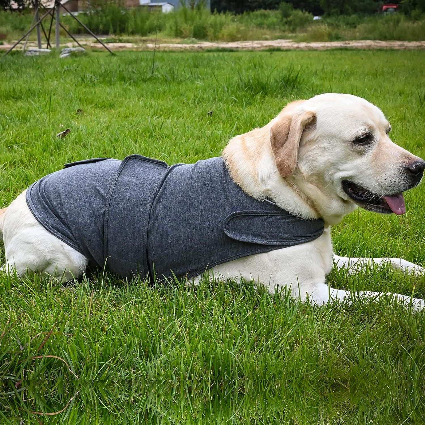 Dog Anxiety Jacket - Breathable Thunder Vest