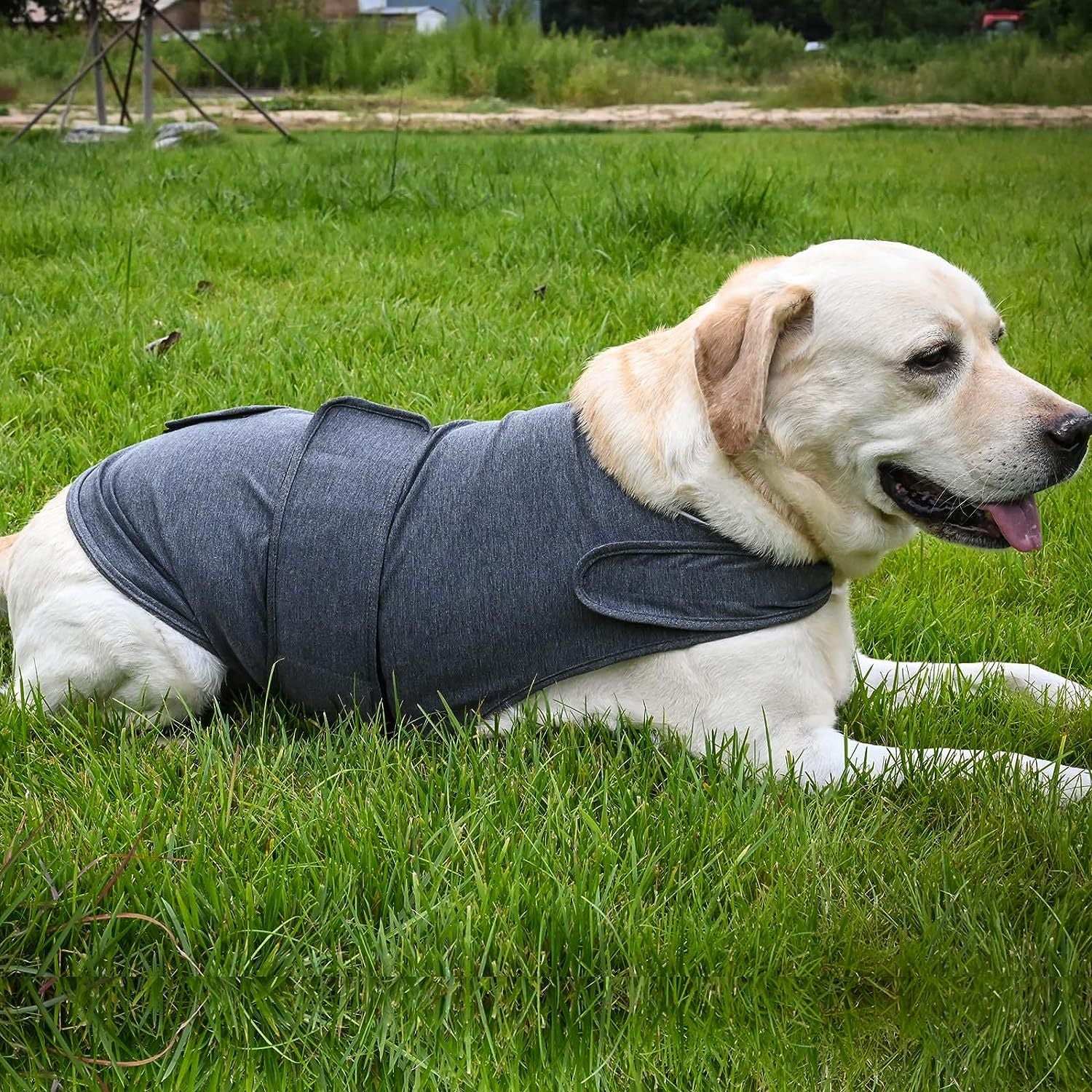 Dog Anxiety Jacket - Breathable Thunder Vest