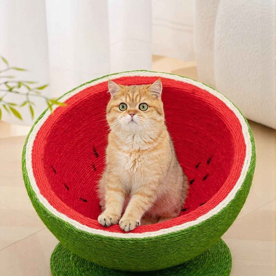 Cat Scratching Post Nest - Purr-fect Watermelon Shaped