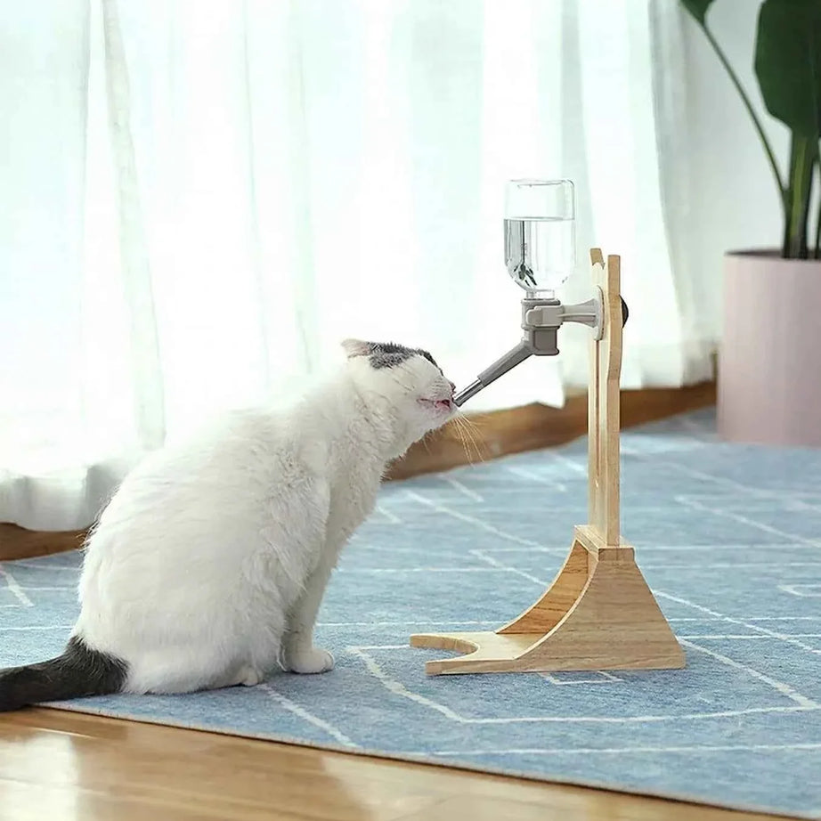 Pet Water Dispenser - Elevated Wooden Base