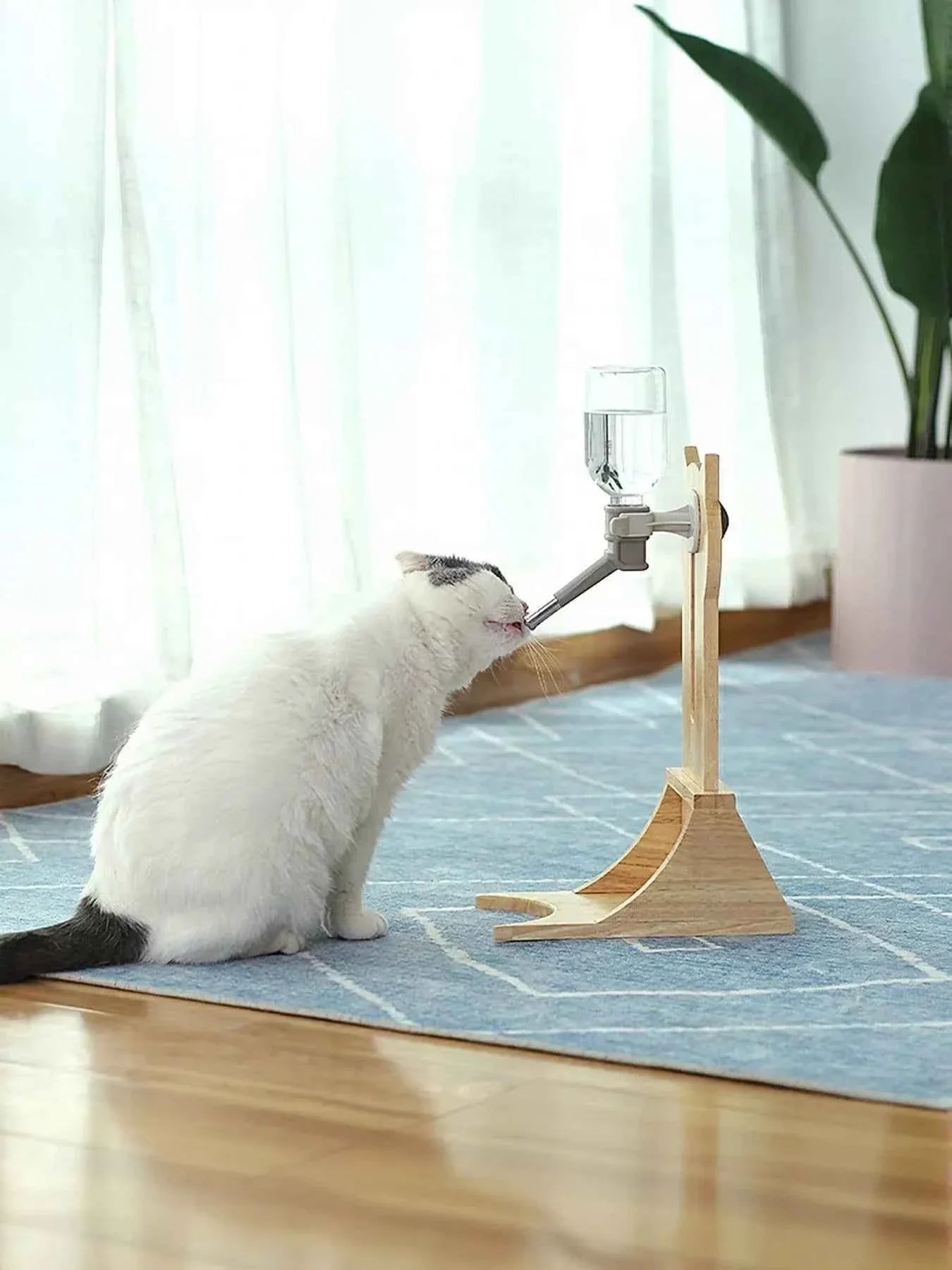 Pet Water Dispenser - Elevated Wooden Base