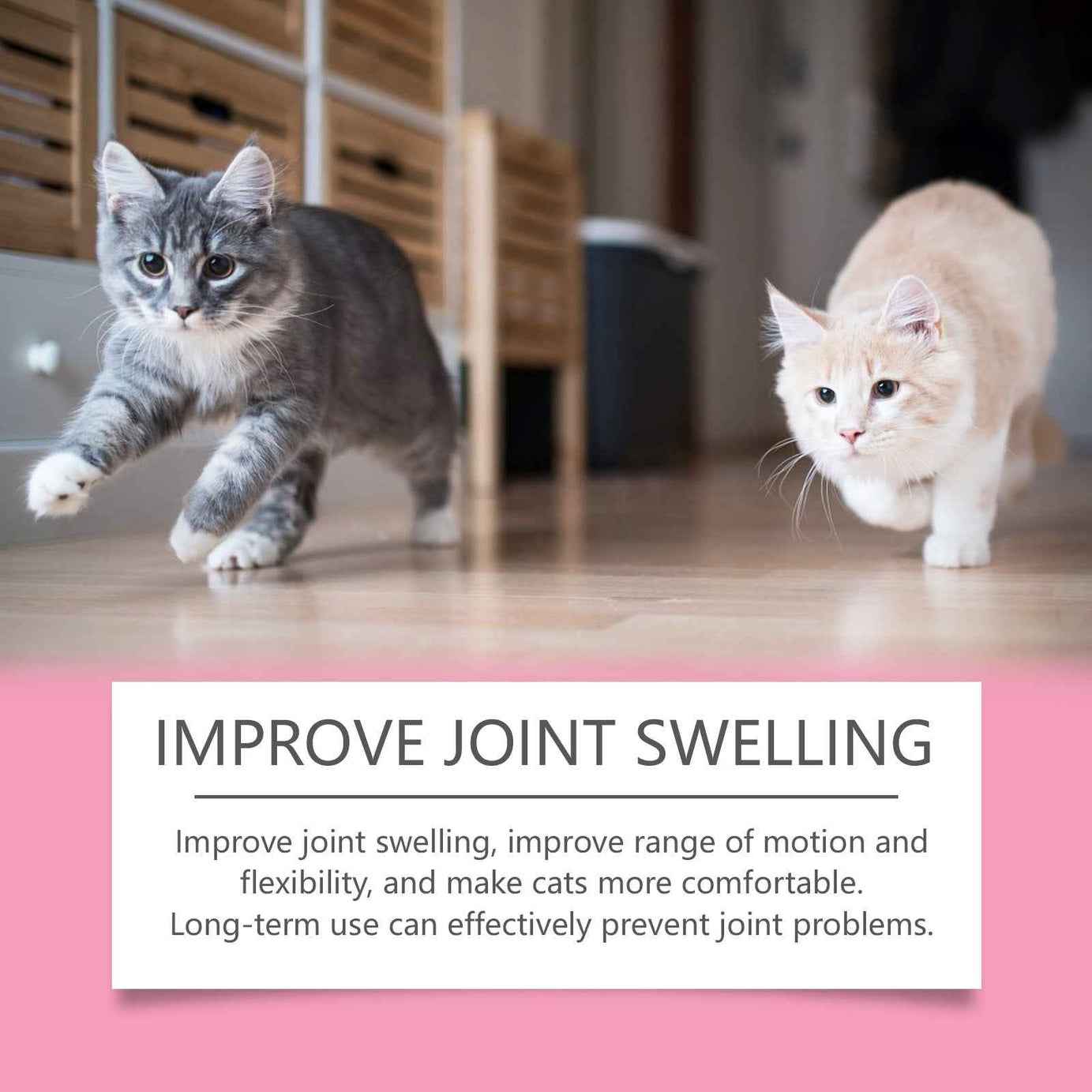 Cat Joint Support Tablets 80 Count - Glucosamine Chewable Supplement