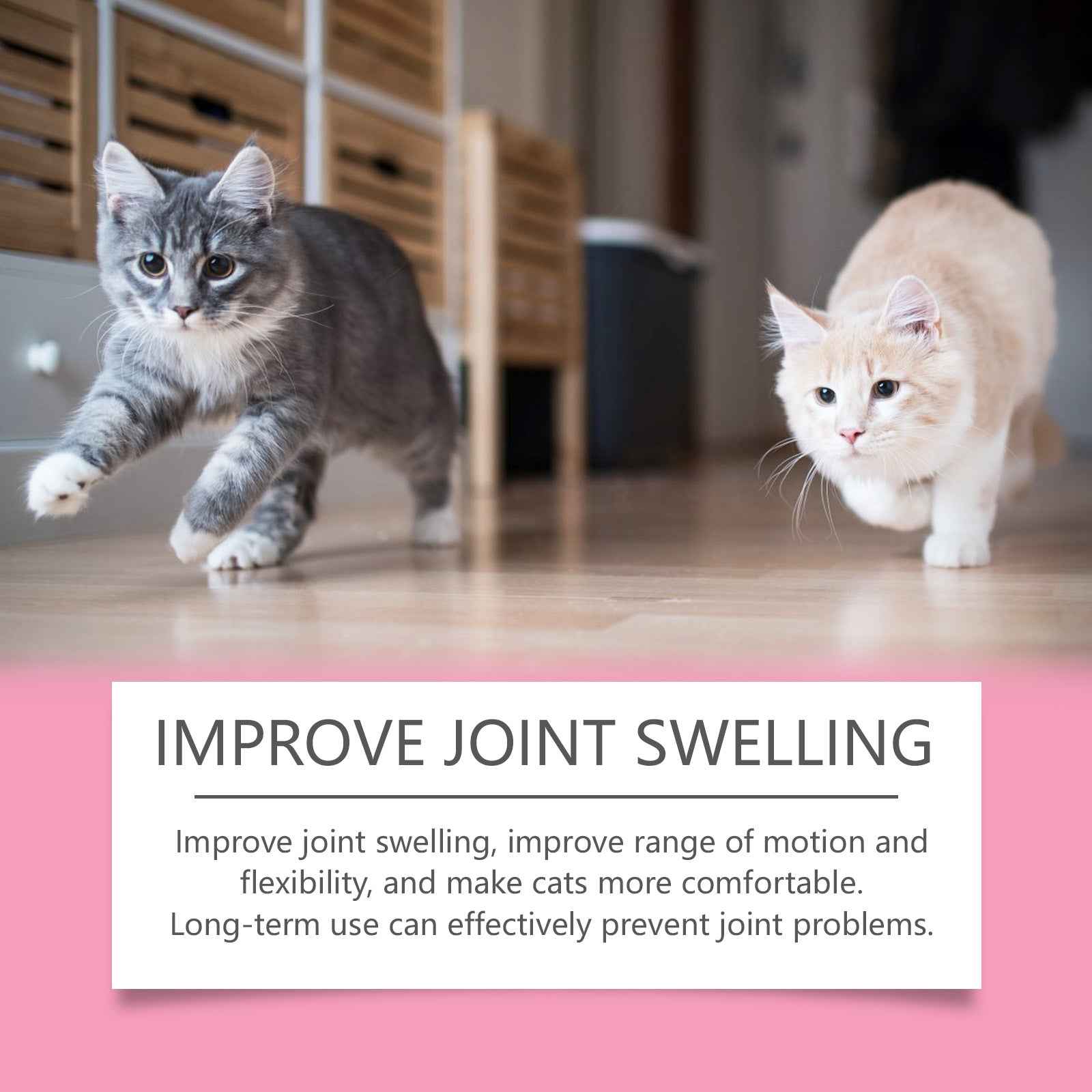 Cat Joint Support Tablets 80 Count - Glucosamine Chewable Supplement