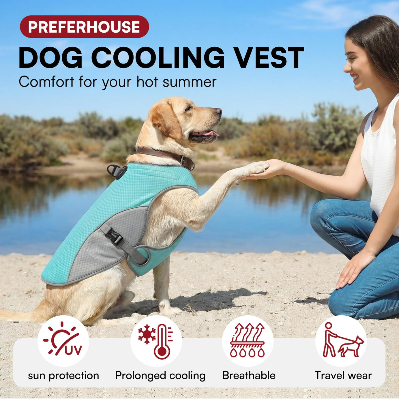 Dog Cooling Vest with D-Ring – For Active Pup Adventures