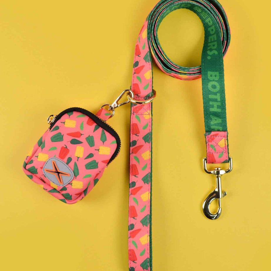 Dog Leash with Poop Bag Holder - Matching Set
