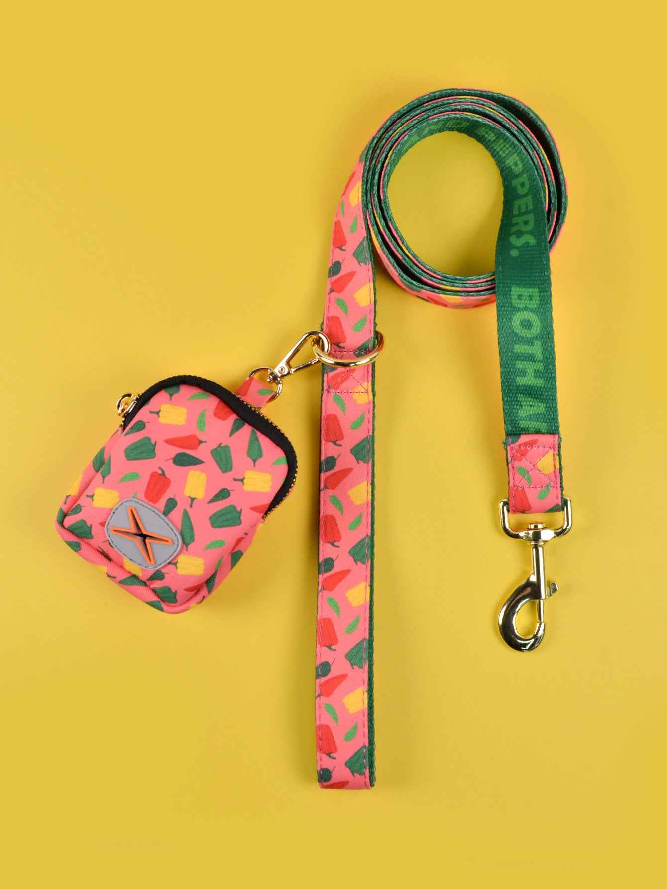 Dog Leash with Poop Bag Holder - Matching Set