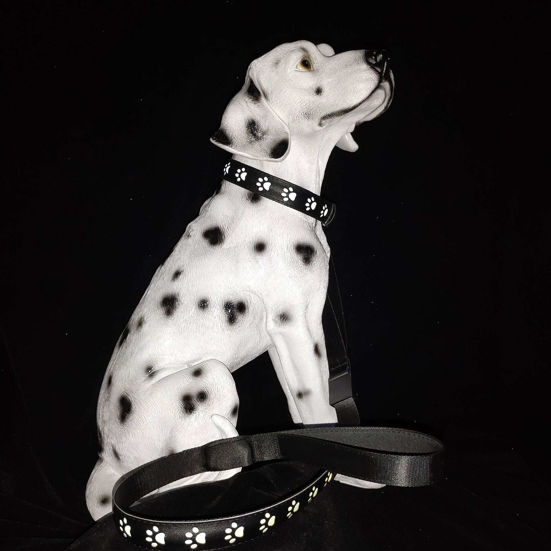 LED Dog Collar - 7 Color Luminous Paw Print USB Rechargeable