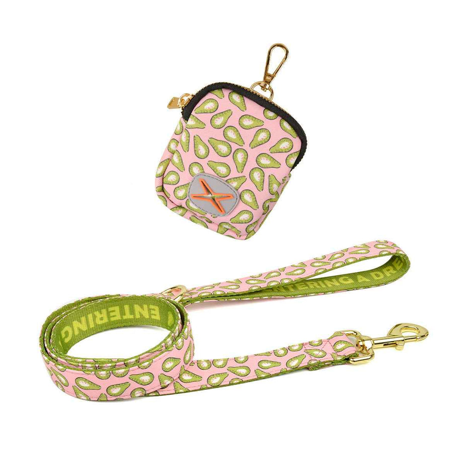 Dog Leash with Poop Bag Holder - Matching Set