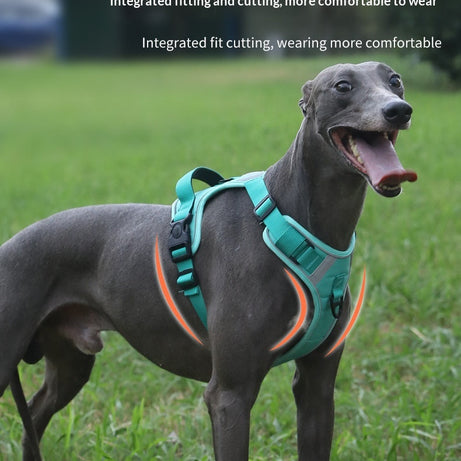 Adjustable Dog Harness - Large Chest Style with Leash