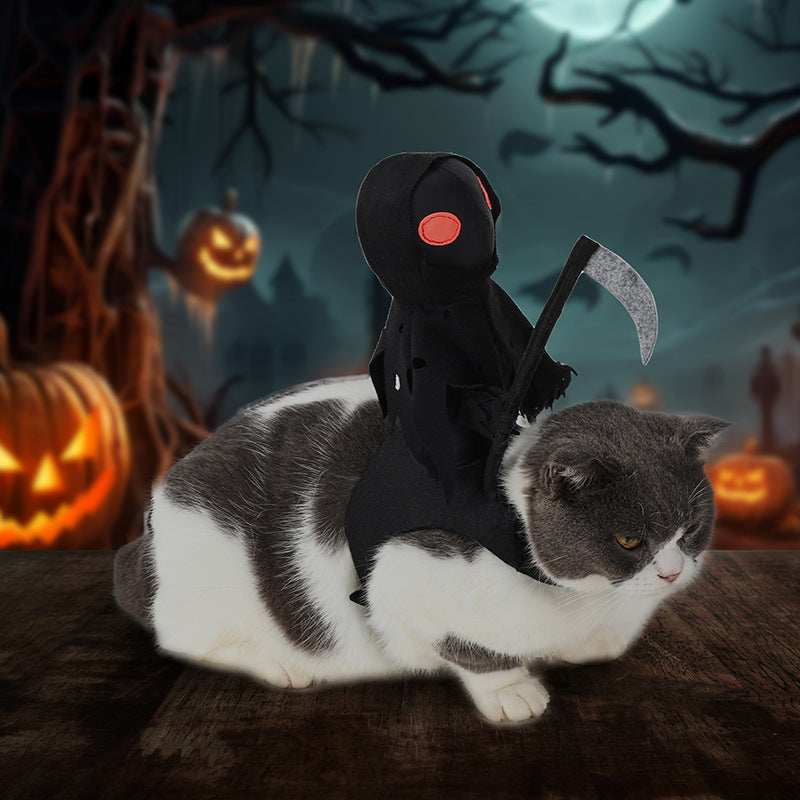 Harvest Knight Riding Outfit - Funny Cute Pet Costume