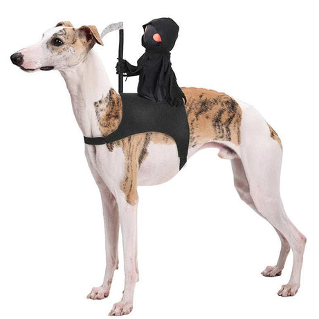 Harvest Knight Riding Outfit - Funny Cute Pet Costume