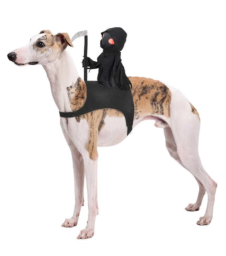 Harvest Knight Riding Outfit - Funny Cute Pet Costume