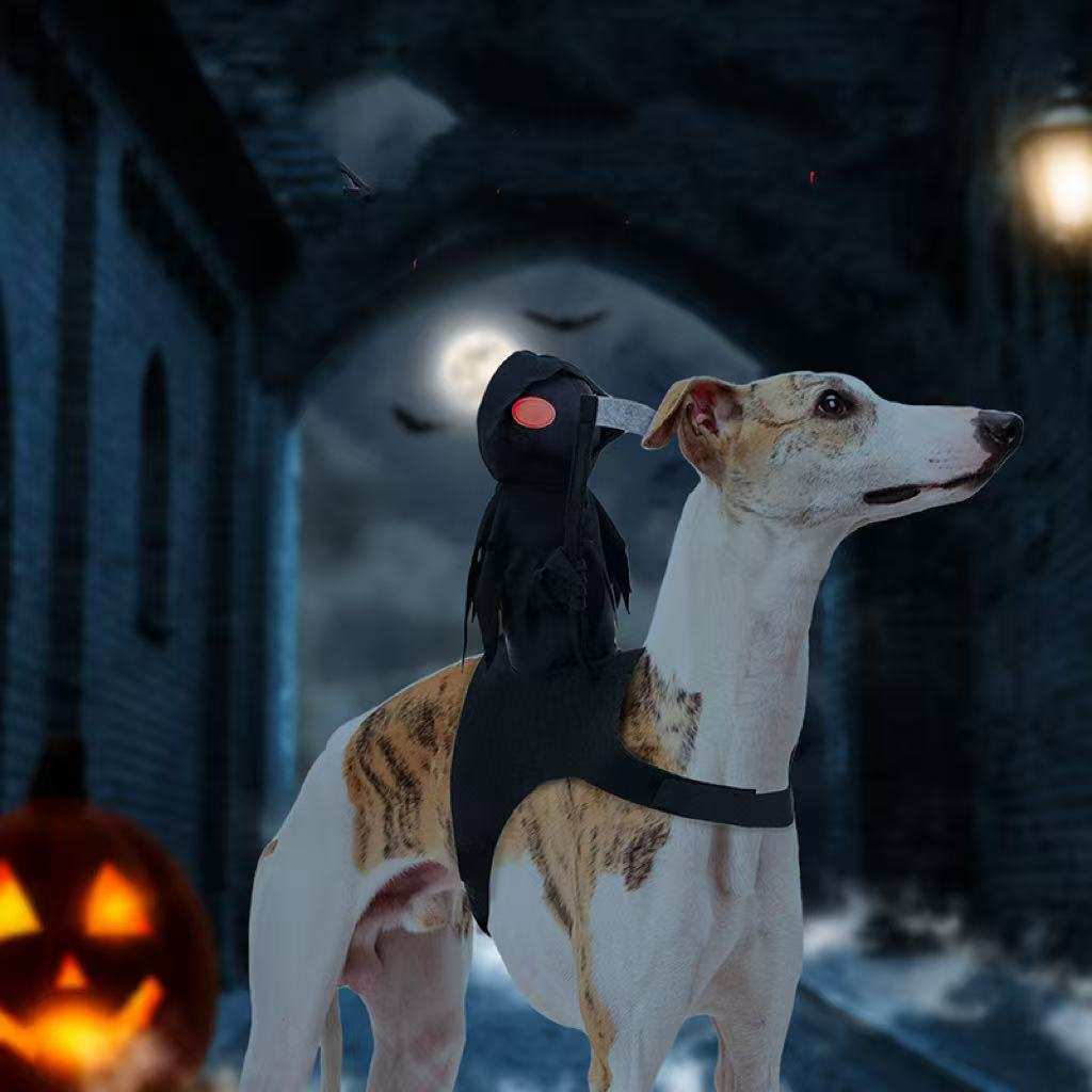Harvest Knight Riding Outfit - Funny Cute Pet Costume