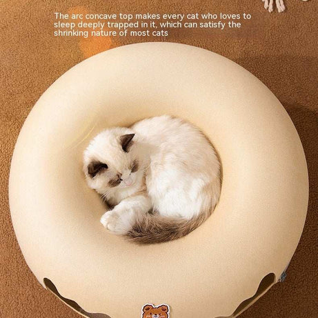 Multi Cat Nest with Hide and Seek Tunnel