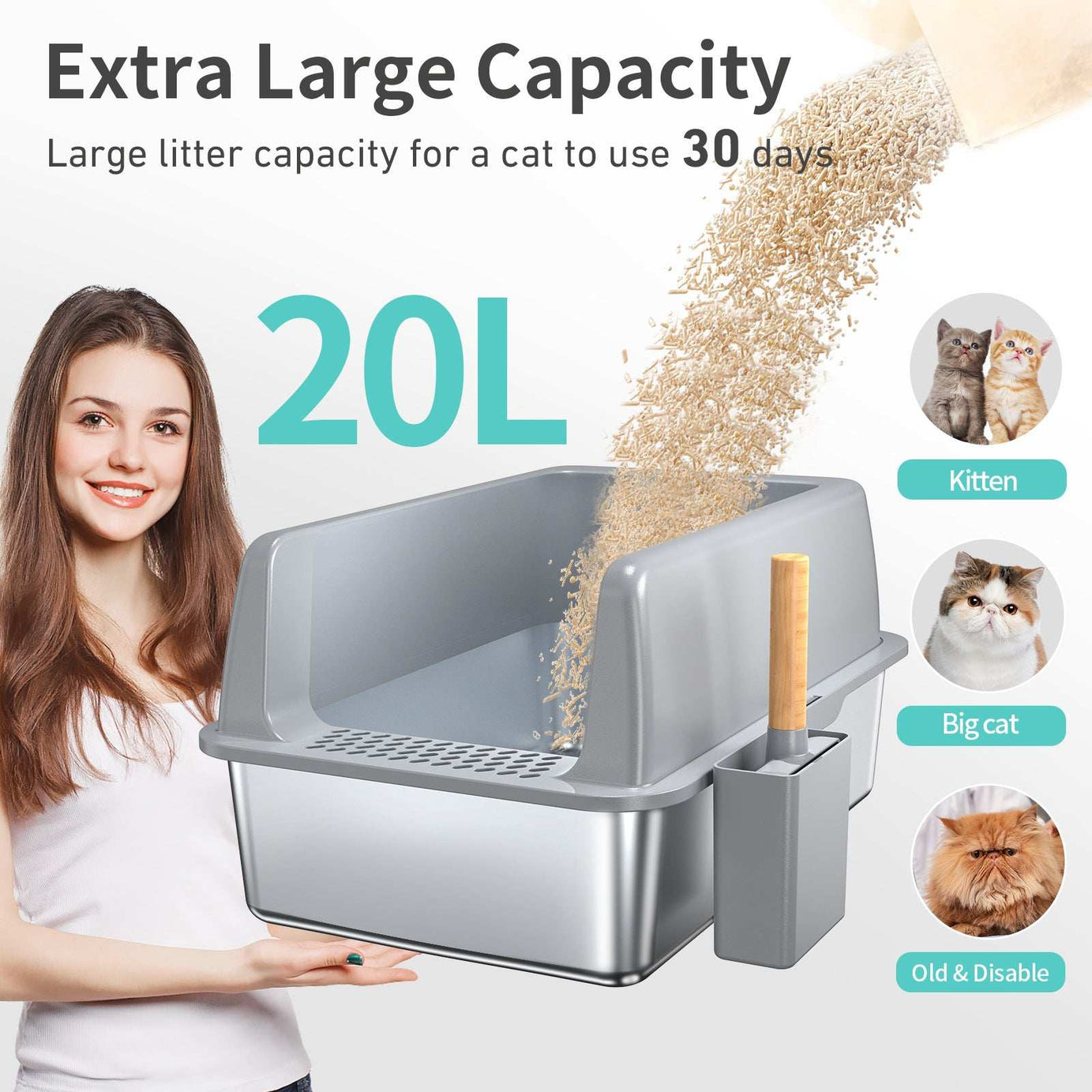 Large 6 Inch Bottom Basin Cat Litter Box