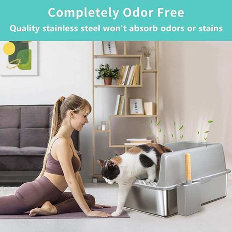 Large 6 Inch Bottom Basin Cat Litter Box
