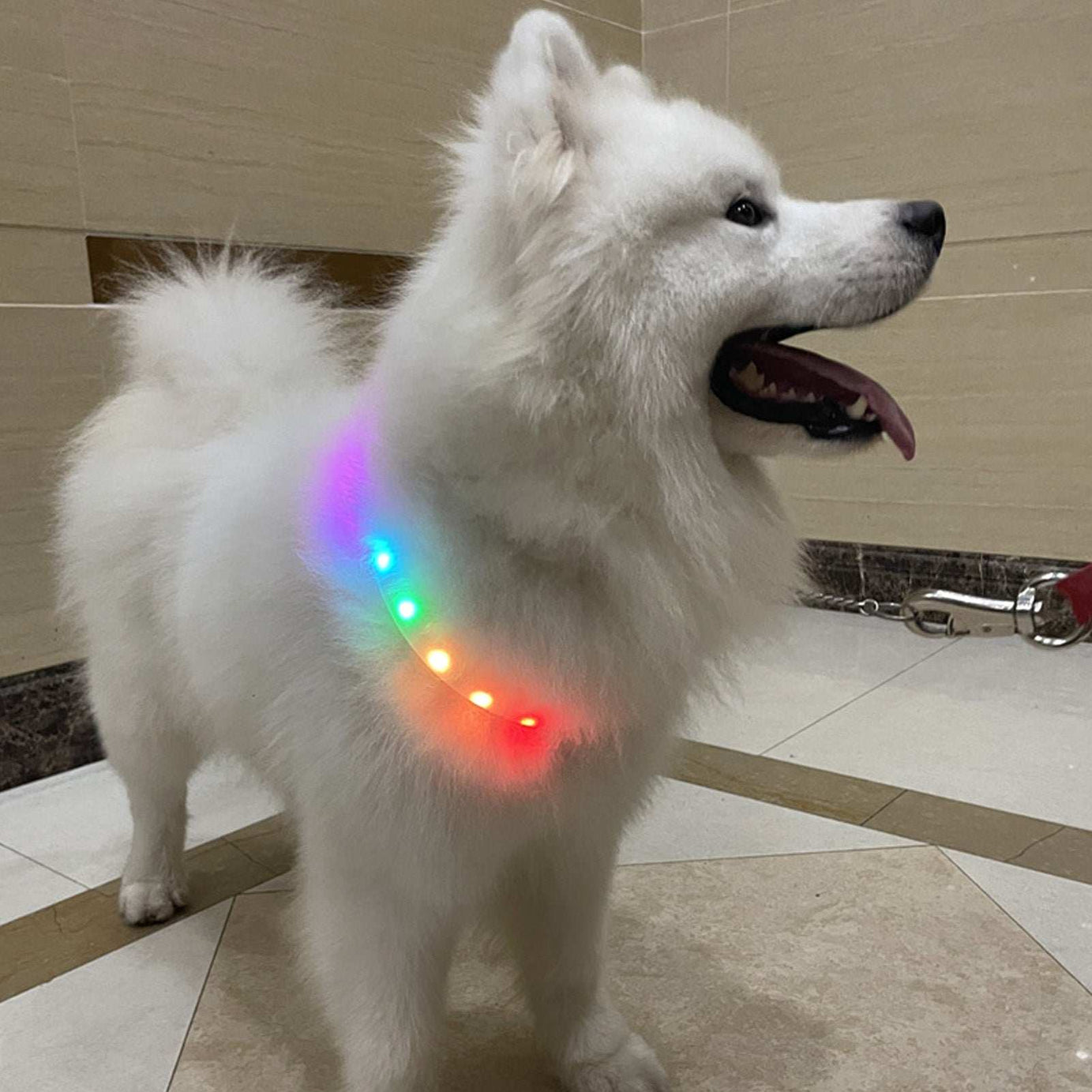 Adjustable Night Use LED Lighted Dog Collar