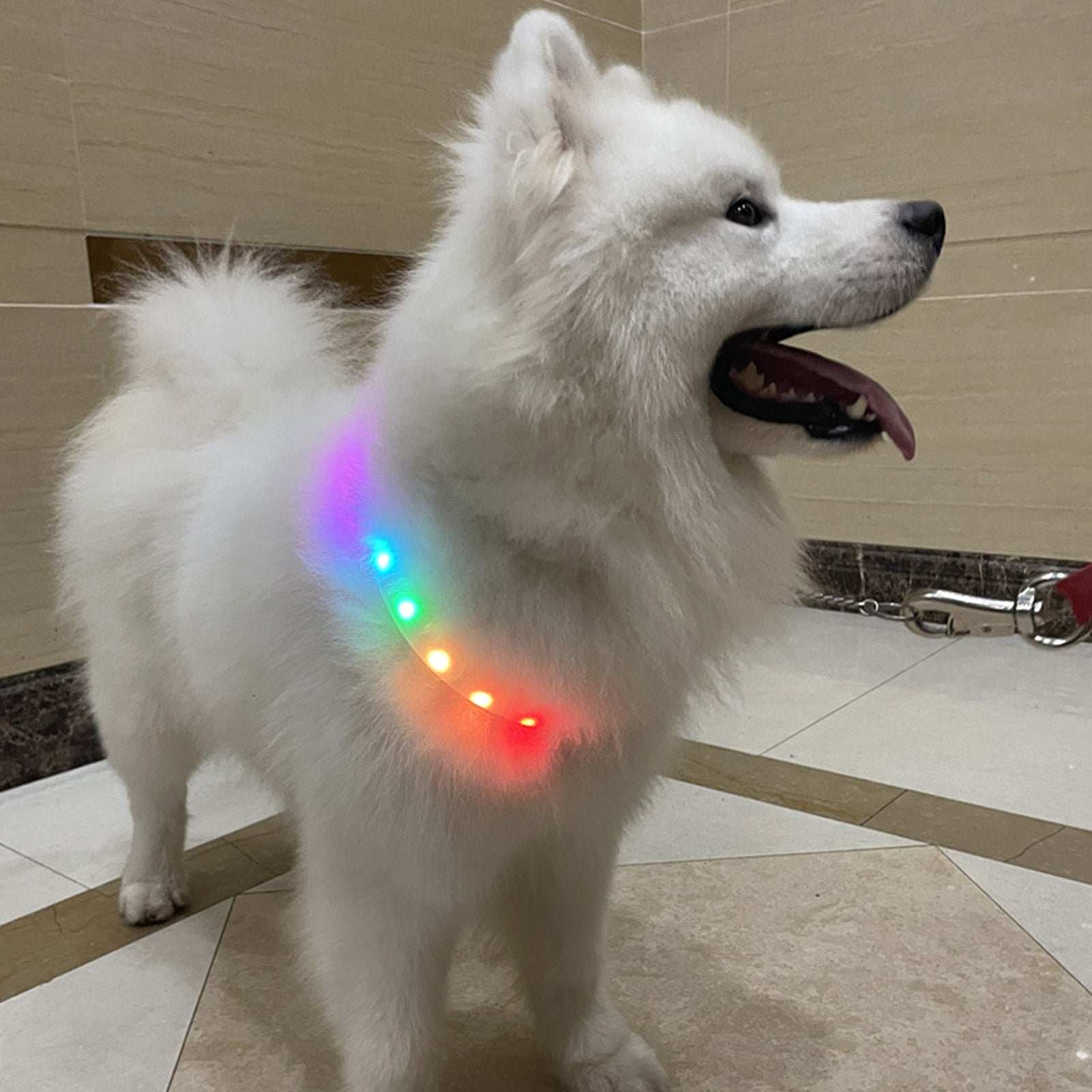 Adjustable Night Use LED Lighted Dog Collar