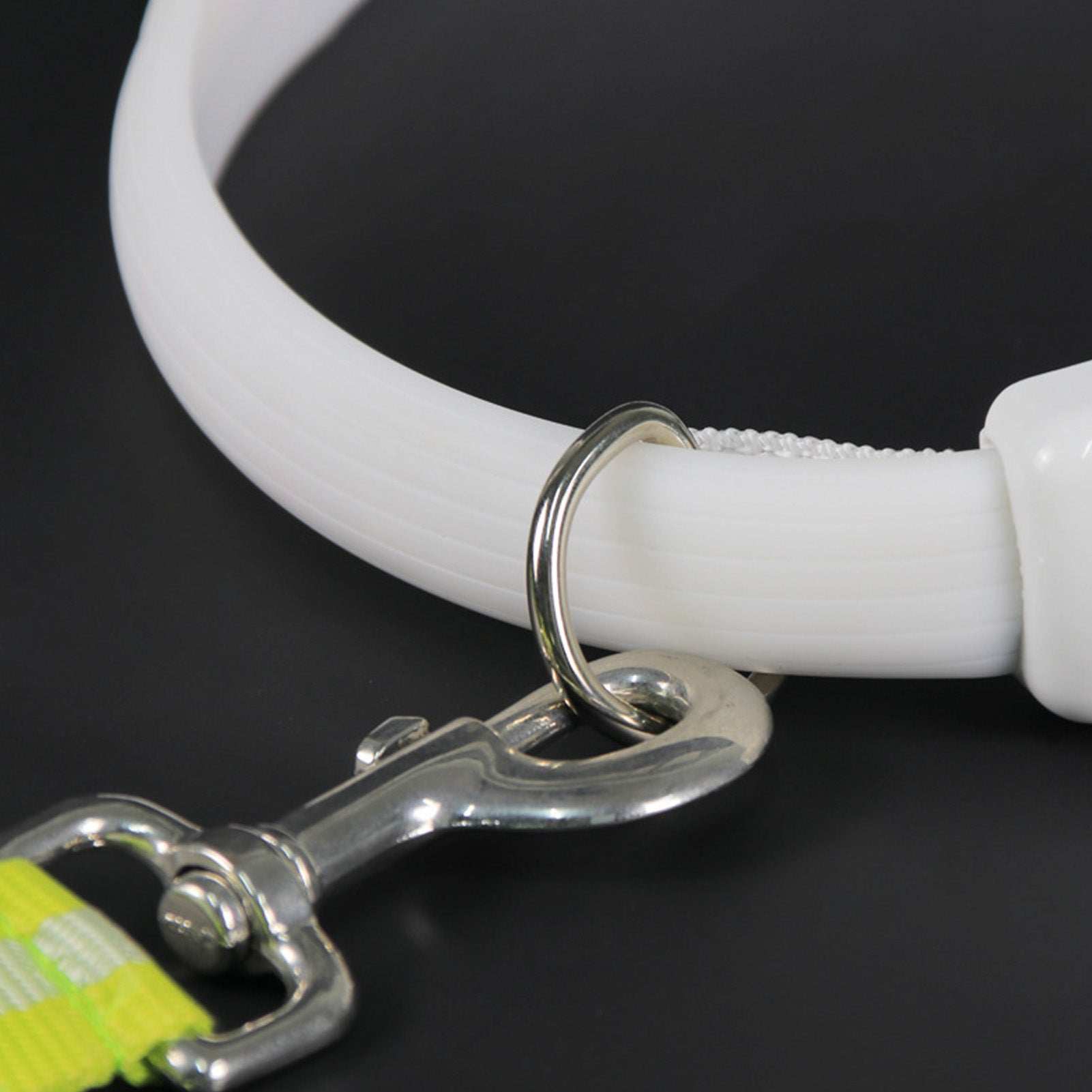 Adjustable Night Use LED Lighted Dog Collar