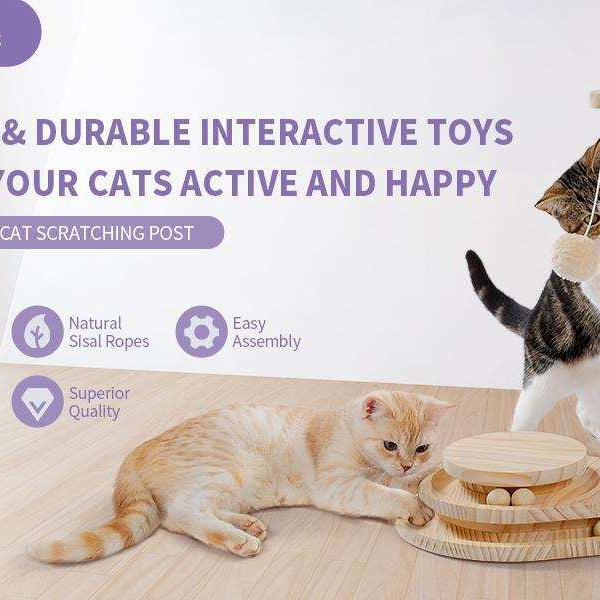 Indoor Cat Soft Scratching Board And Interactive Ball Track Toy Cat Rest And Grooming Supplies