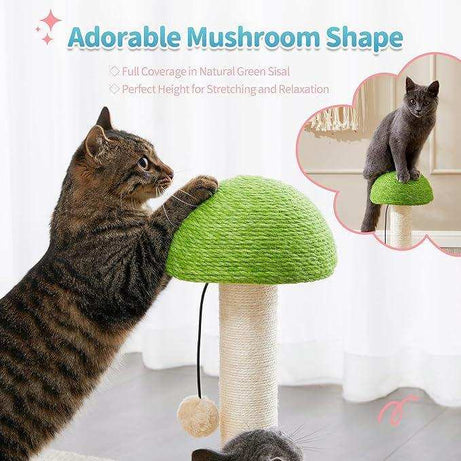 Mushroom Sisal Rope 2 In 1 Wooden Scratching Post