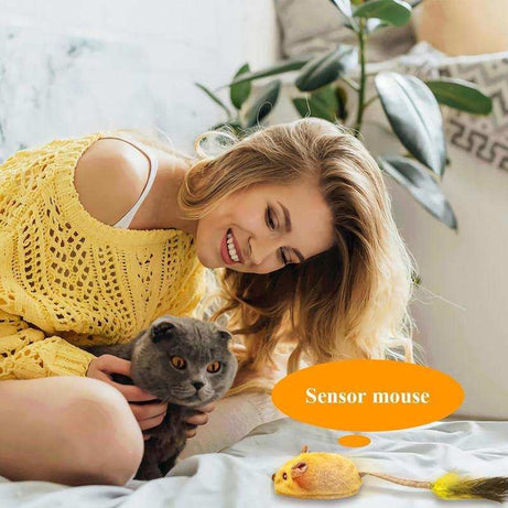 Interactive Rechargeable Mouse Cat Toy with LED Lights