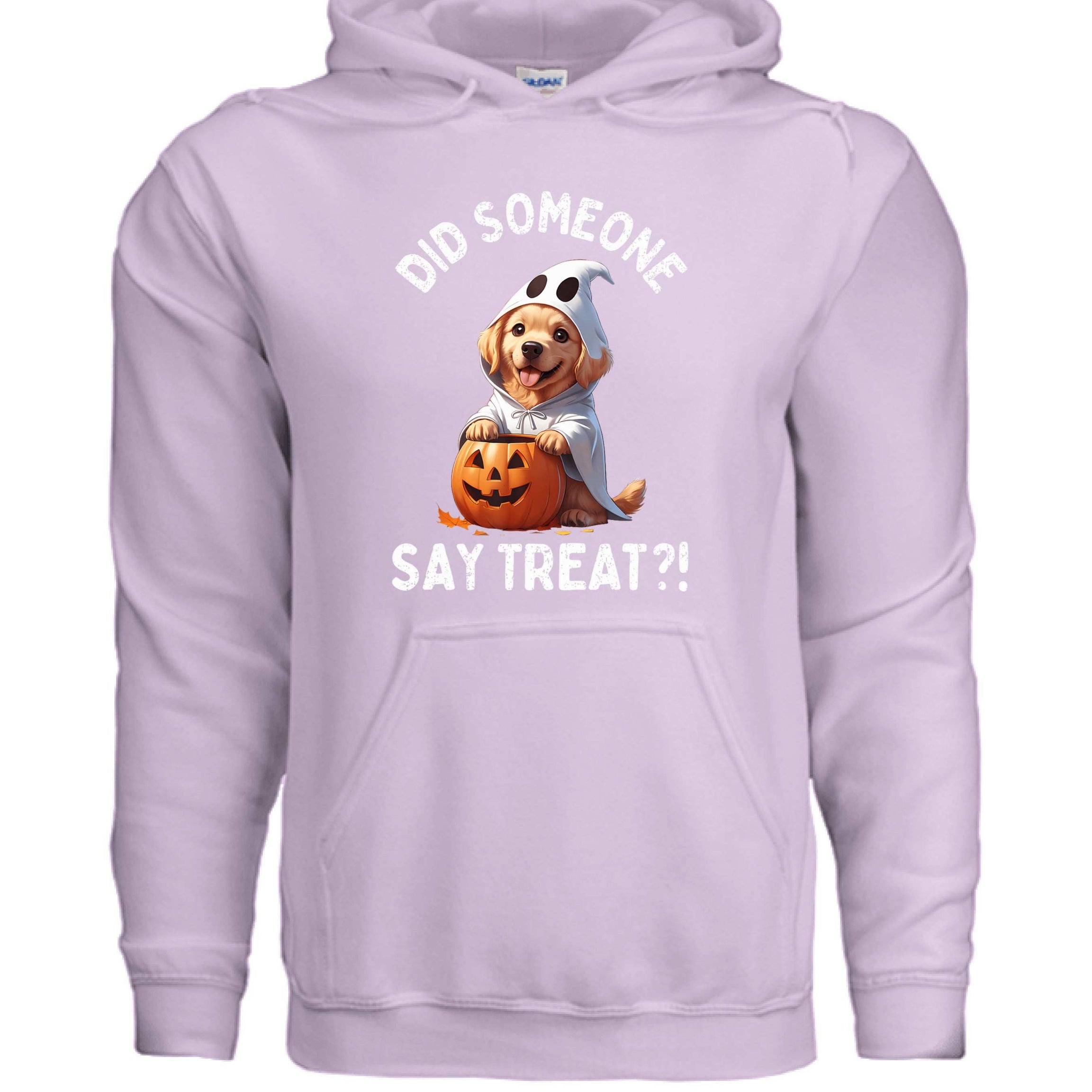 Did Someone Say Treats Hoodie Sweatshirt - Funny Dog Parent Pet Lover Hoodie