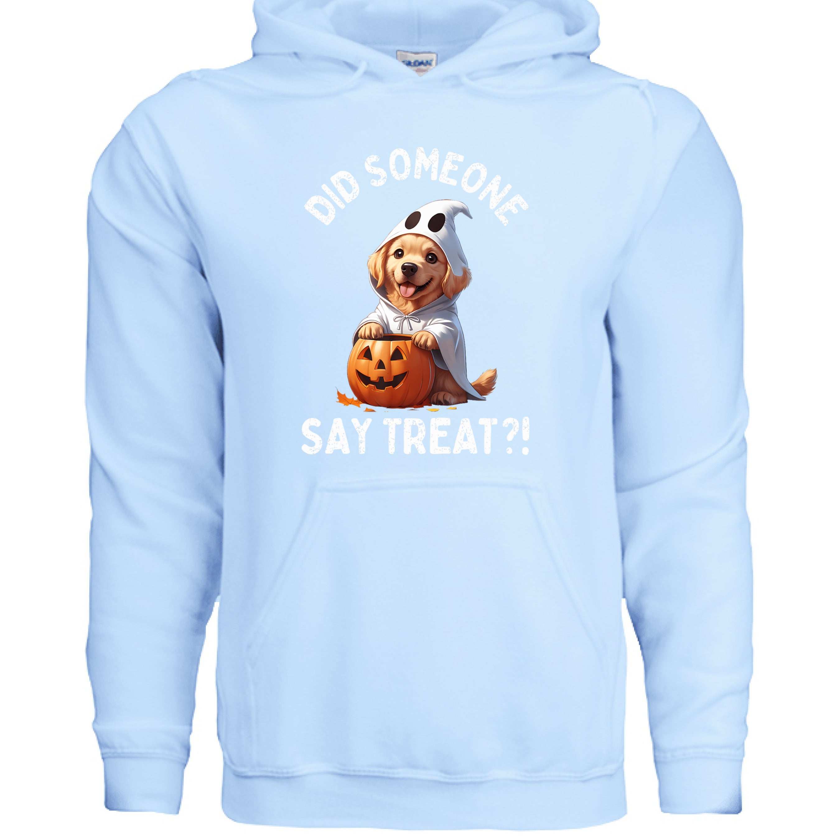 Did Someone Say Treats Hoodie Sweatshirt - Funny Dog Parent Pet Lover Hoodie