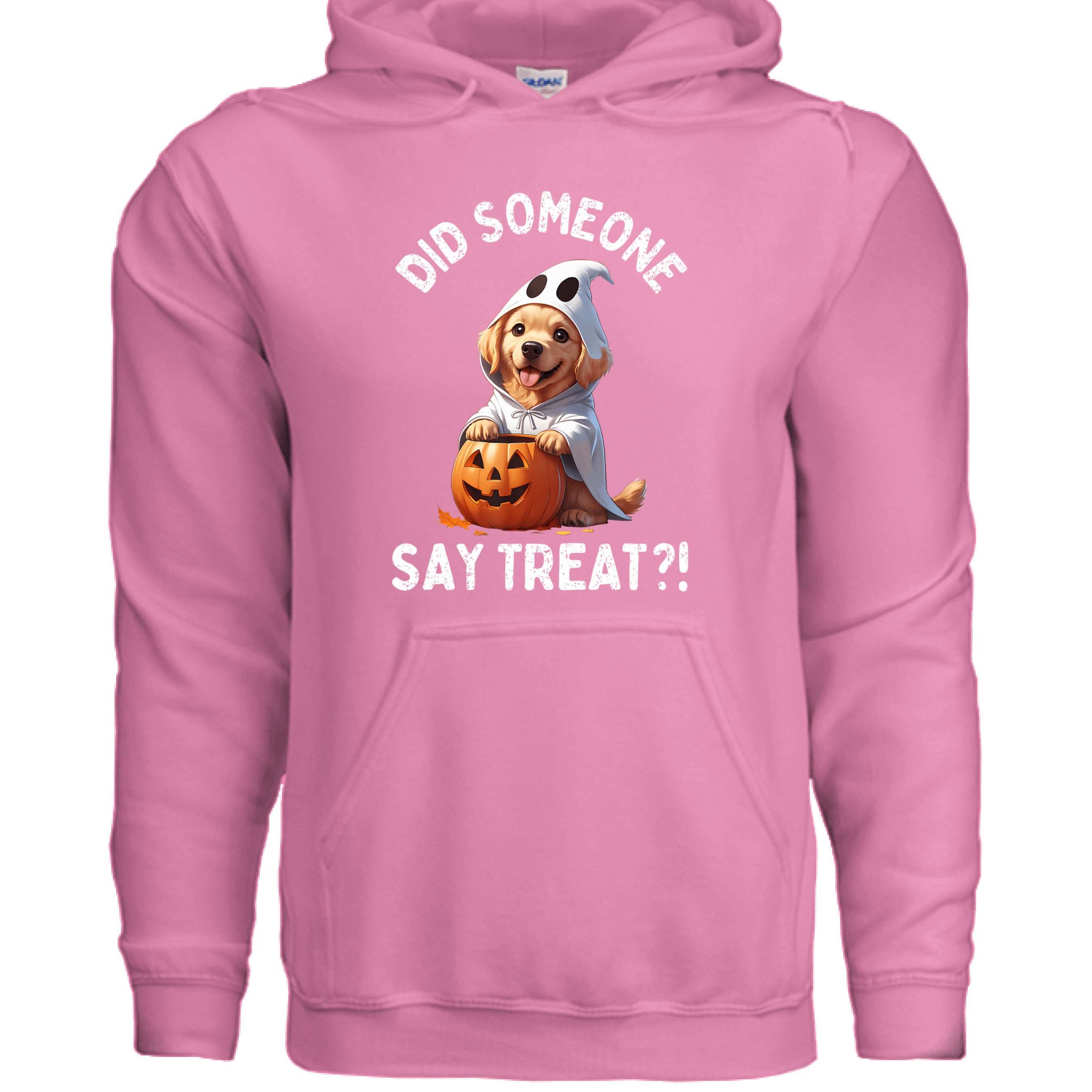 Did Someone Say Treats Hoodie Sweatshirt - Funny Dog Parent Pet Lover Hoodie