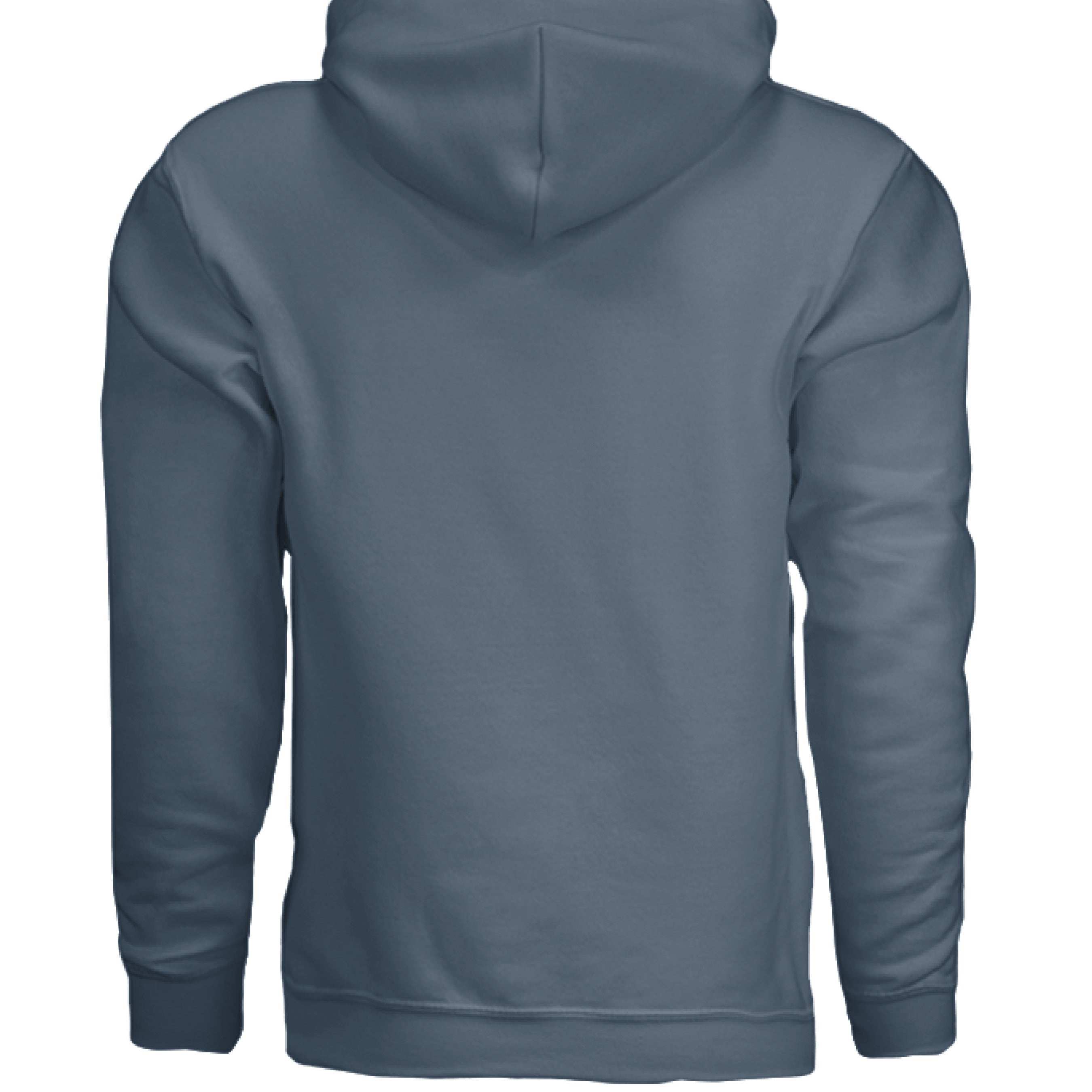 Did You Say Treat Hoodie - Funny Dog Lover Pet Parent Sweatshirt