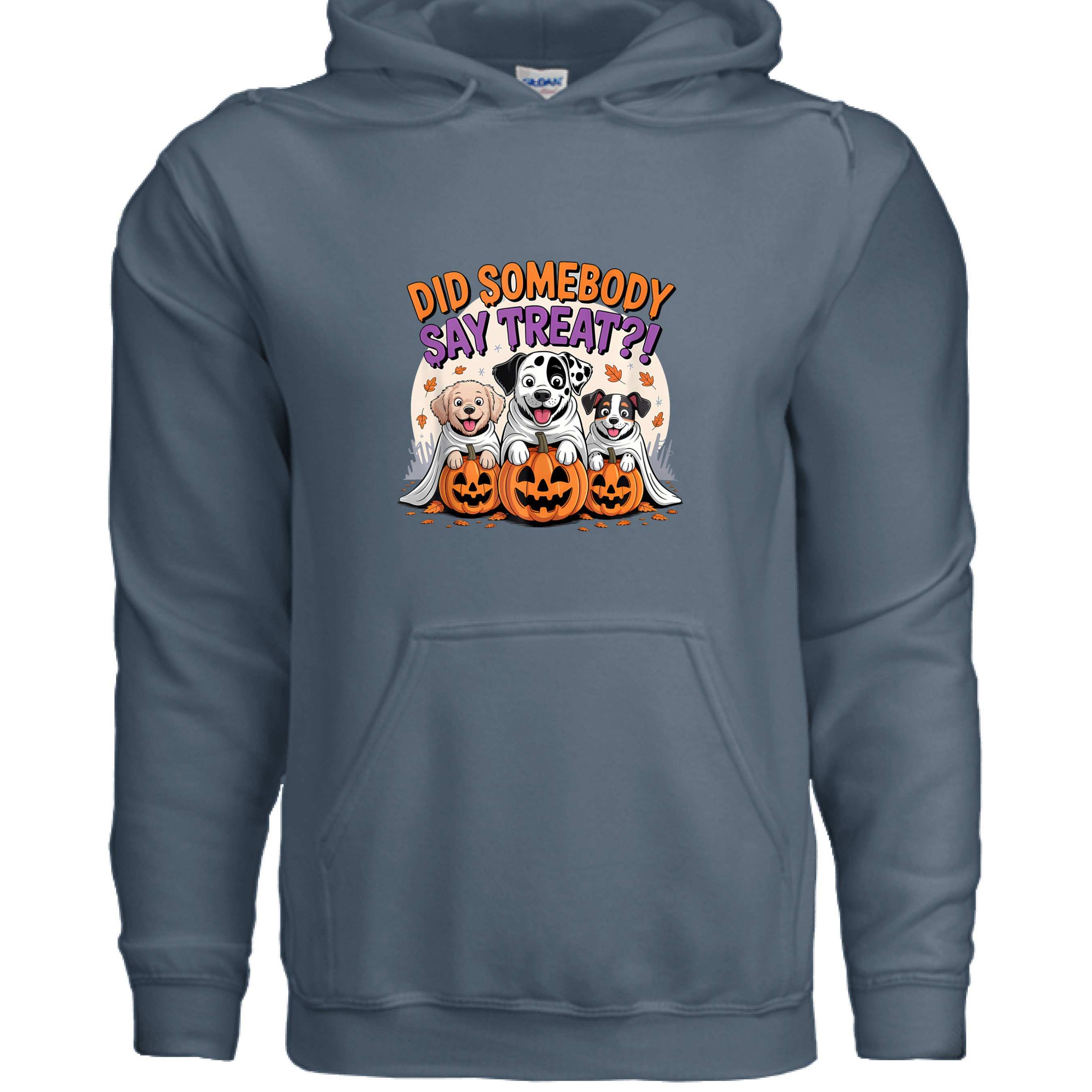 Did You Say Treat Hoodie - Funny Dog Lover Pet Parent Sweatshirt