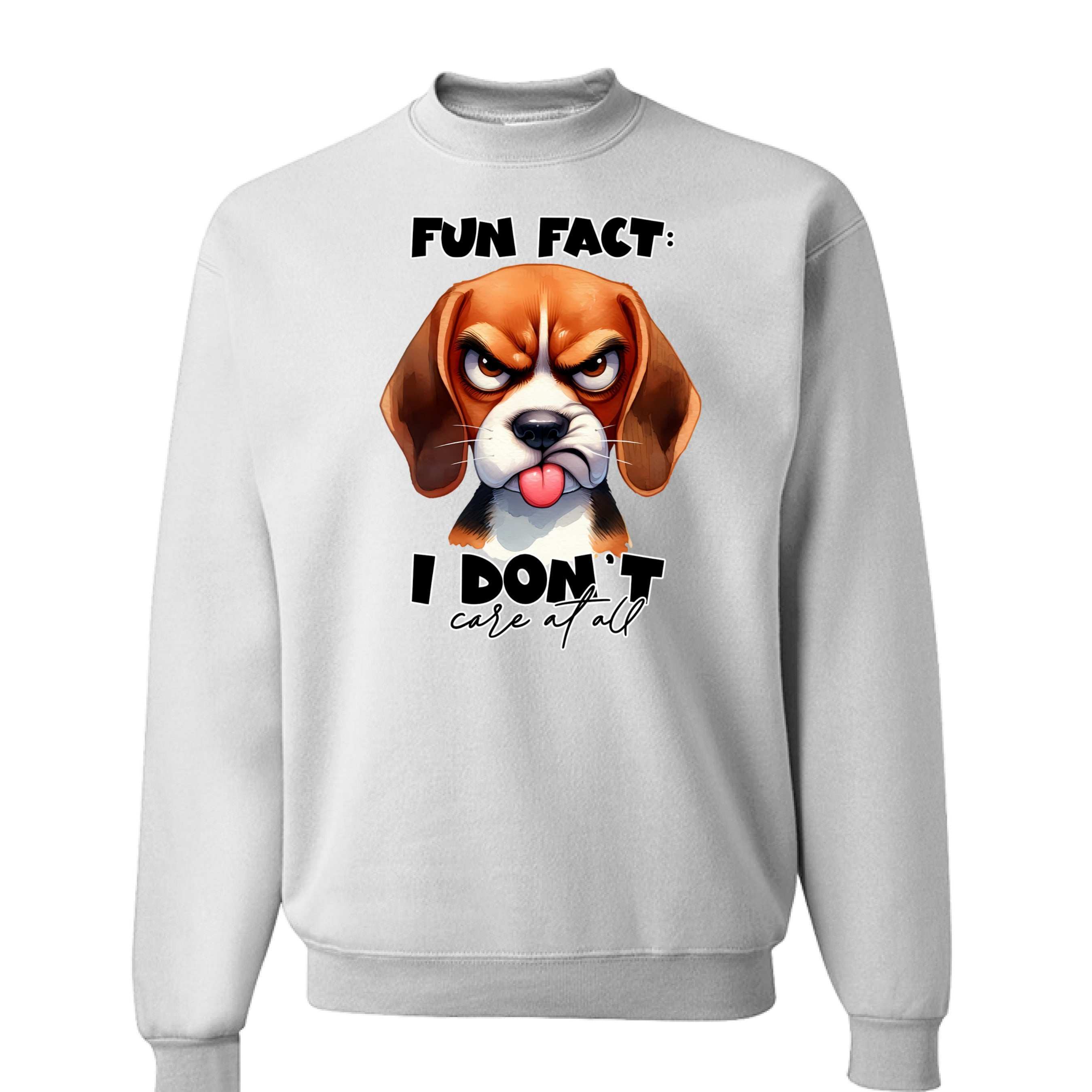 Fun Fact Don't Care Crewneck - Funny Sarcastic Sweatshirt
